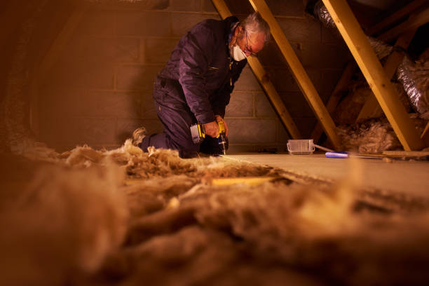 Best Basement Insulation  in Nsfield Center, MA